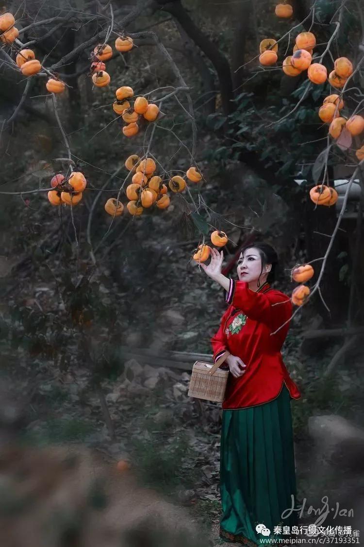 秦皇岛秋天美景,秦皇岛秋天落日和晚风