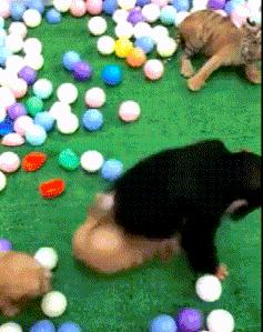 kano模型的用户需求,kano模型收集到的数据怎么分析