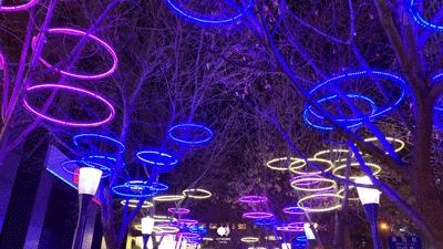 北京有个“小巴黎”！这个周末，趁景美人少赶紧去！