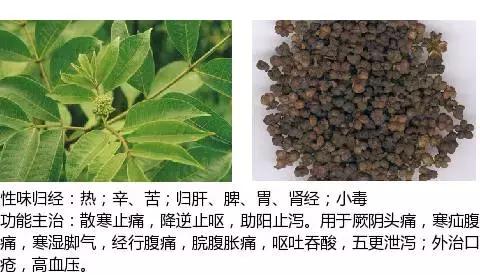 常用中草药名称大全图片及药效,常用中草药药效大全