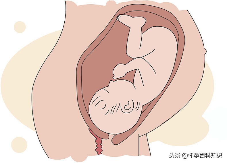 第一次胎动是什么样的感觉,宝宝第一次胎动是什么感觉