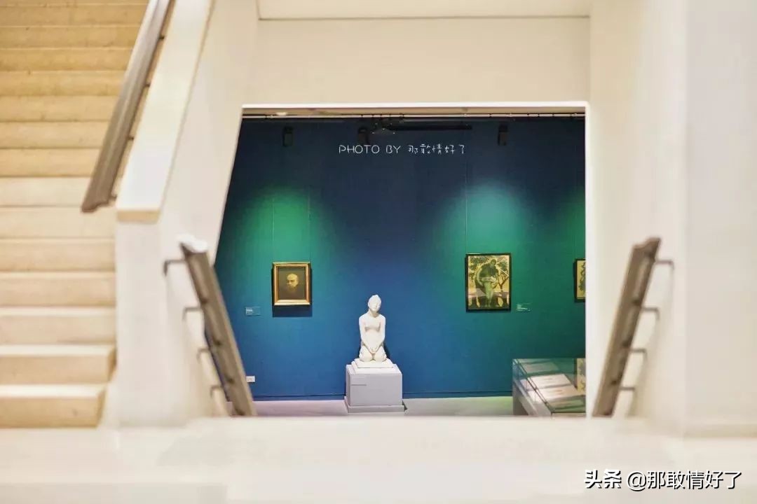 在蓝精灵的故乡邂逅天价纹身*国猪中**，只因我国没有动物保护约束