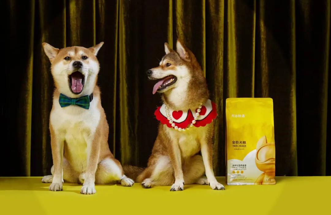 疯狂小狗是烘焙粮吗,疯狂小狗为什么那么便宜