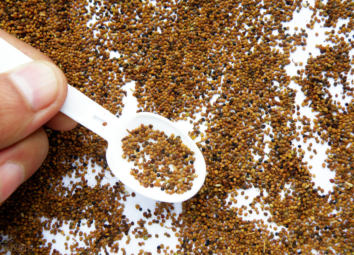 美白紧致淡斑中药面膜配方,哪些中药可以调制面膜使皮肤变白