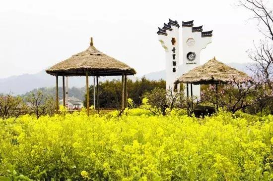 宁波踏春游玩,宁波春游推荐