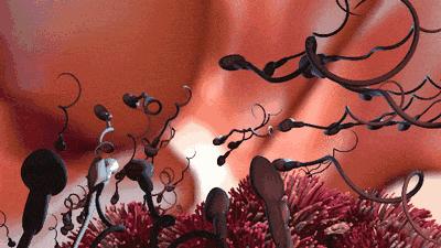 一组漫画告诉你：出生前，陪你进军的几亿精子大军都去哪了？