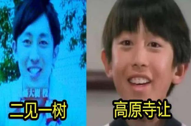 铁甲小宝小百合多大了,铁甲小宝的小百合现在怎么样了