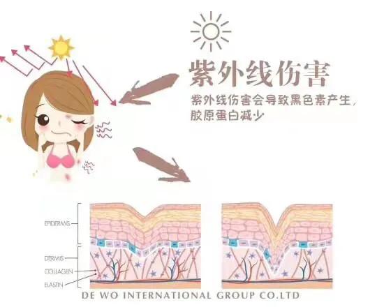 补充胶原蛋白是智商税吗,吃肉皮能补充胶原蛋白吗