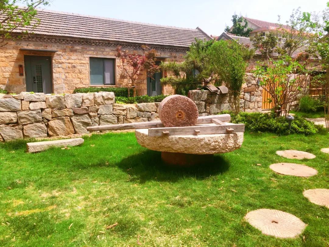 生活在日照是什么感觉,生活在日照就是幸福征文800字