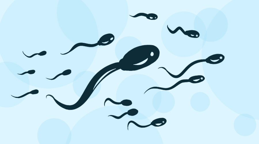 双语阅读：人类300多年的认知都错了，揭秘精子的3D花式运动