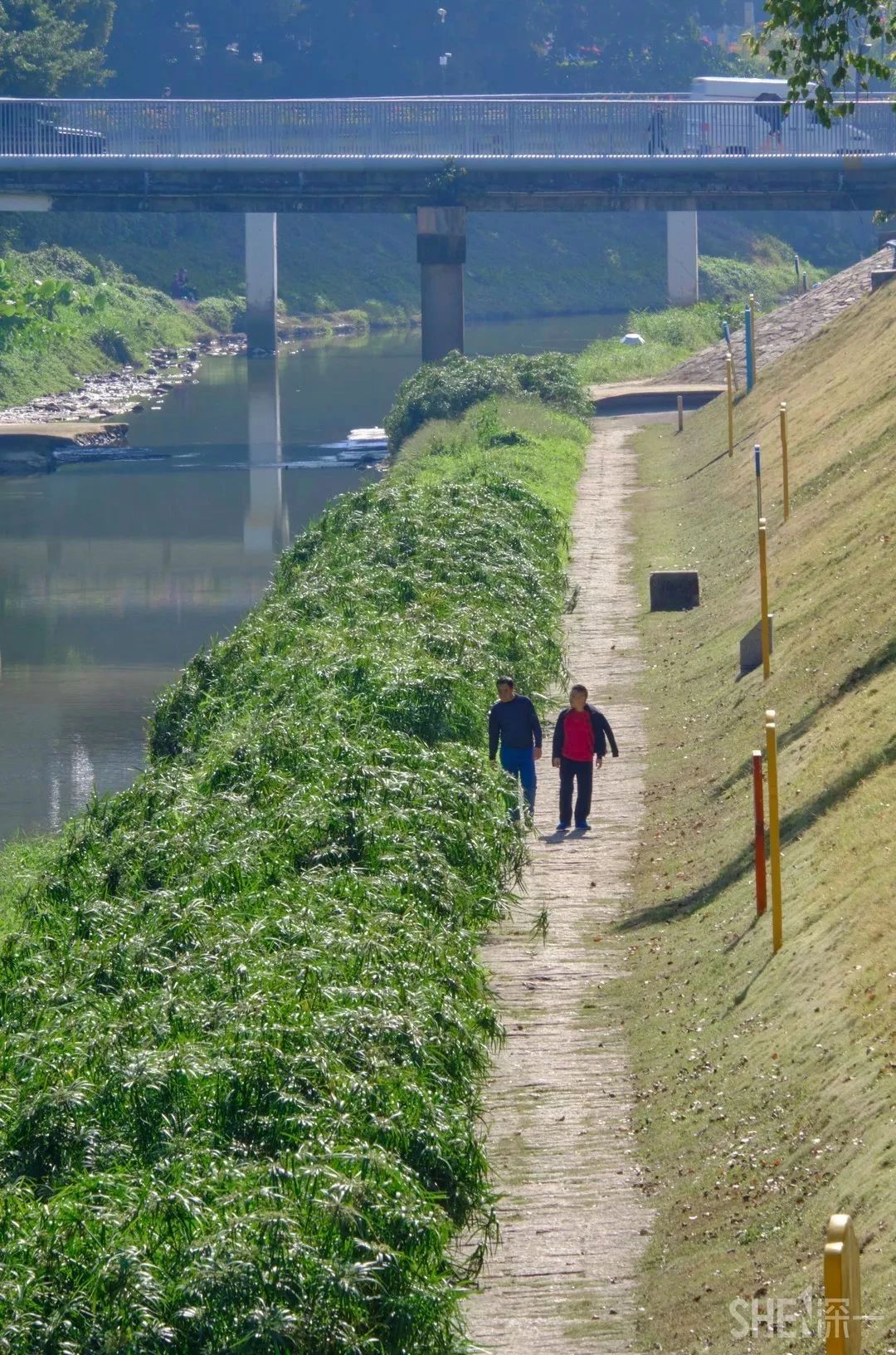 深圳这27个热门游玩地，坐2号线全都能到