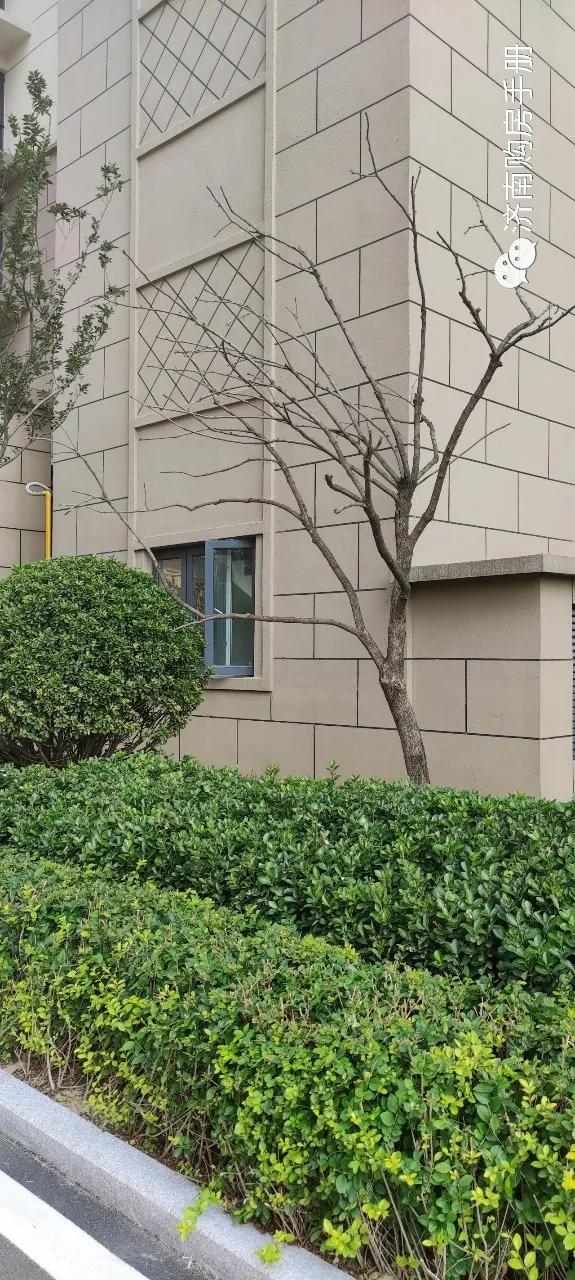 济南碧桂园凤凰城最新房价,济南碧桂园最新的情况