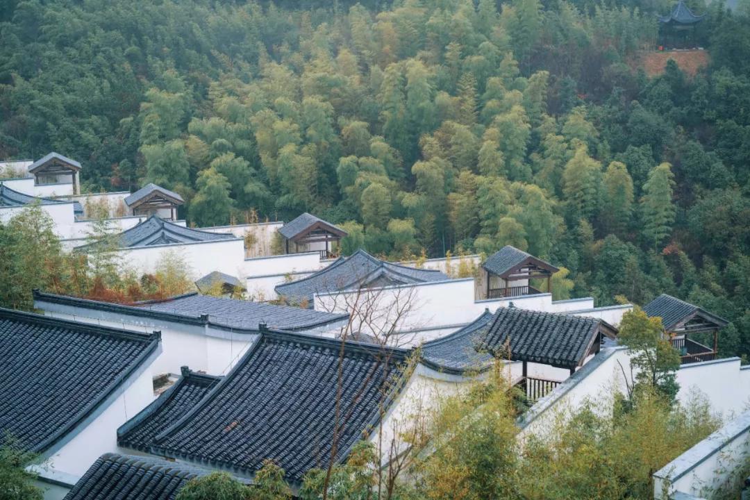 风险提示的内容,风险提醒是真的吗