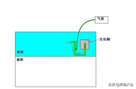 鱼缸过滤详细讲解,学会这一招鱼缸清澈