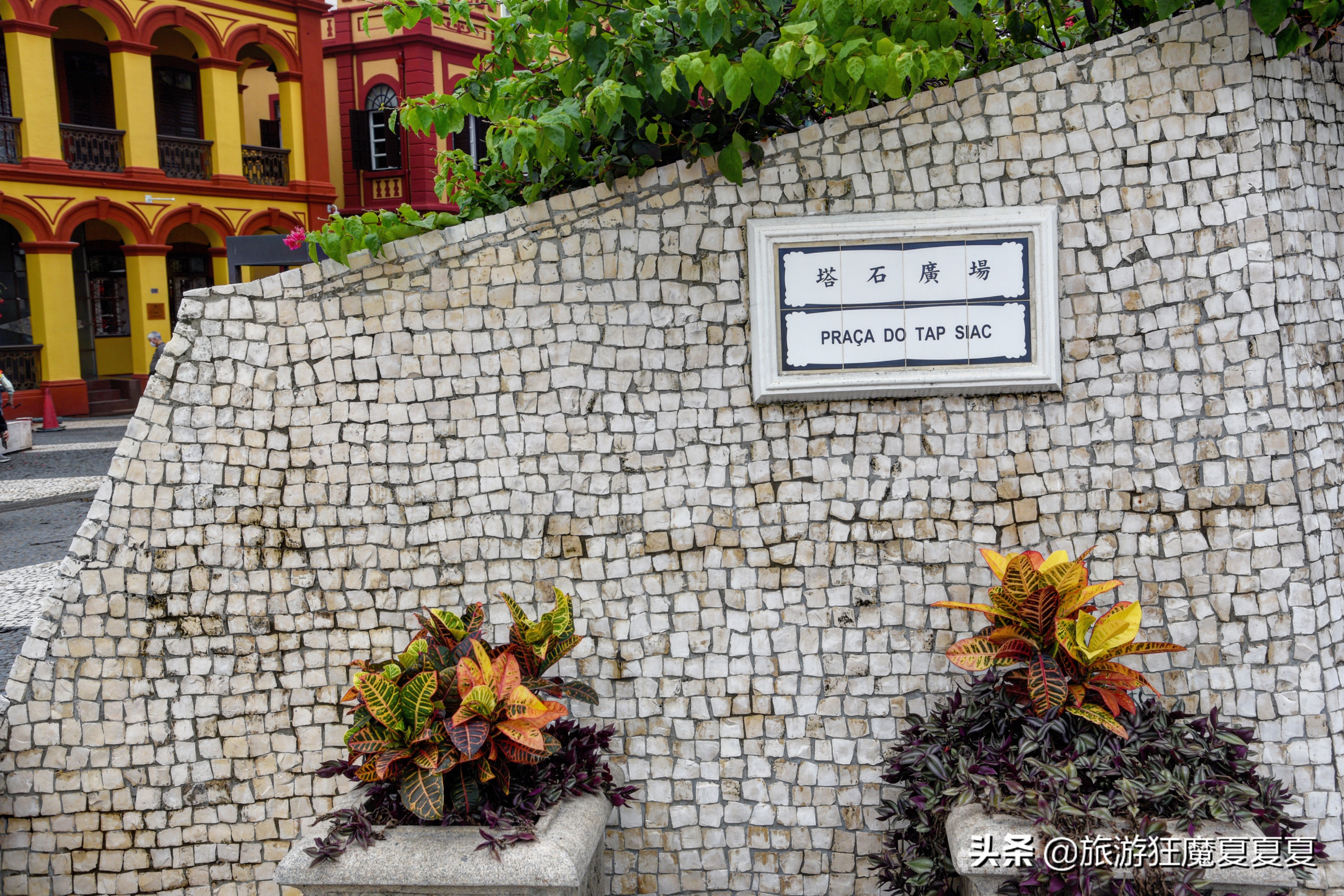 携程上澳门机票买一送一怎么使用,澳门大力推动旅游业