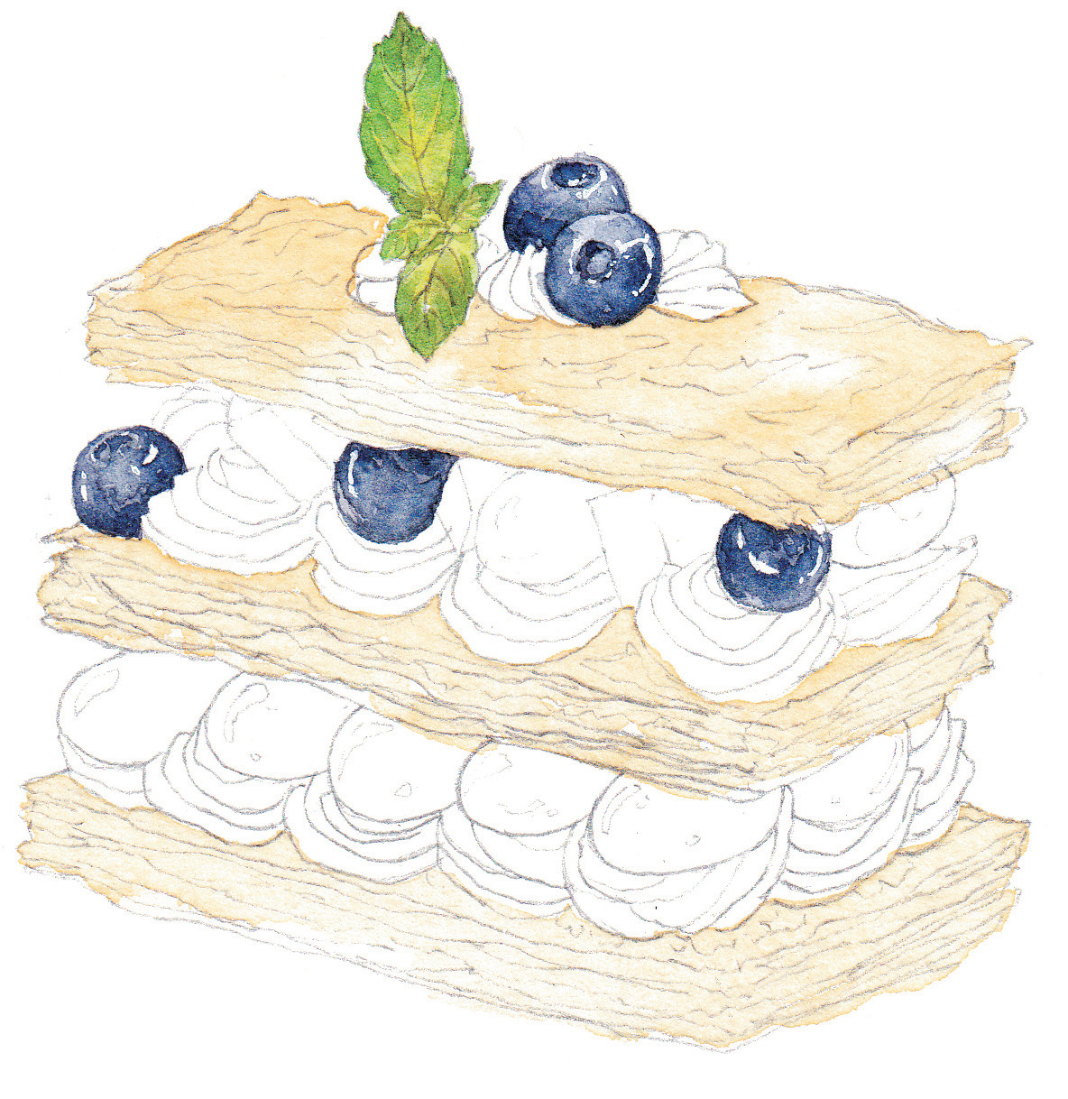 水彩葡萄蛋糕画法,水彩精致甜品教程