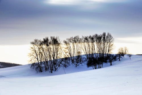 最容易迷惑我们“心神”的是那些最为表面的，入木三分，方得自在