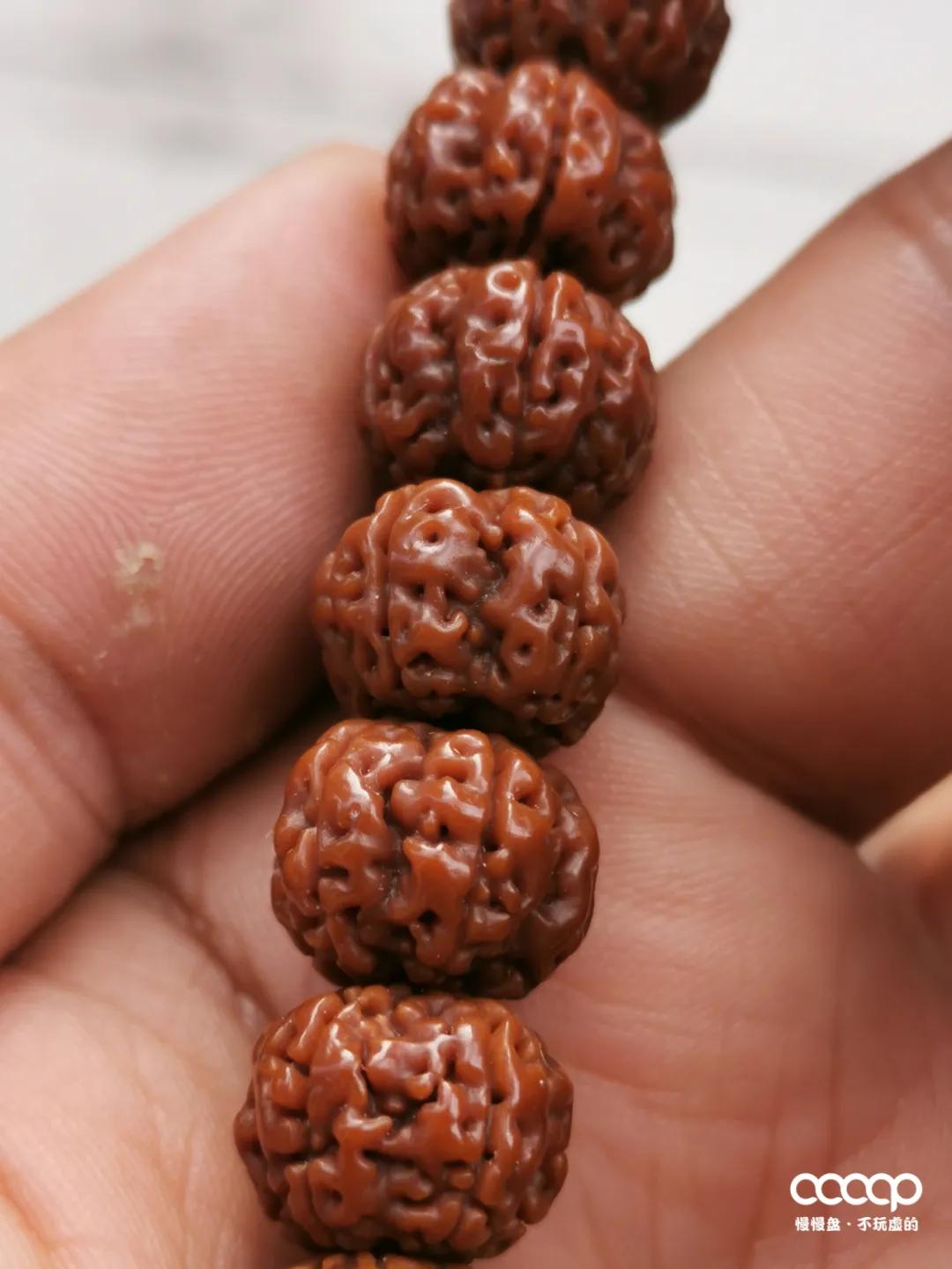 盘了一段时间的金刚还能用水泡吗,玉化金刚最新消息