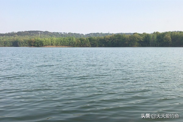 解析刮风对钓鱼的影响，什么风向鱼好钓，一看就知道