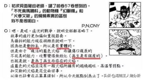 海贼王：被大家公认为白胡子海贼团“皇副”，马尔科的成长