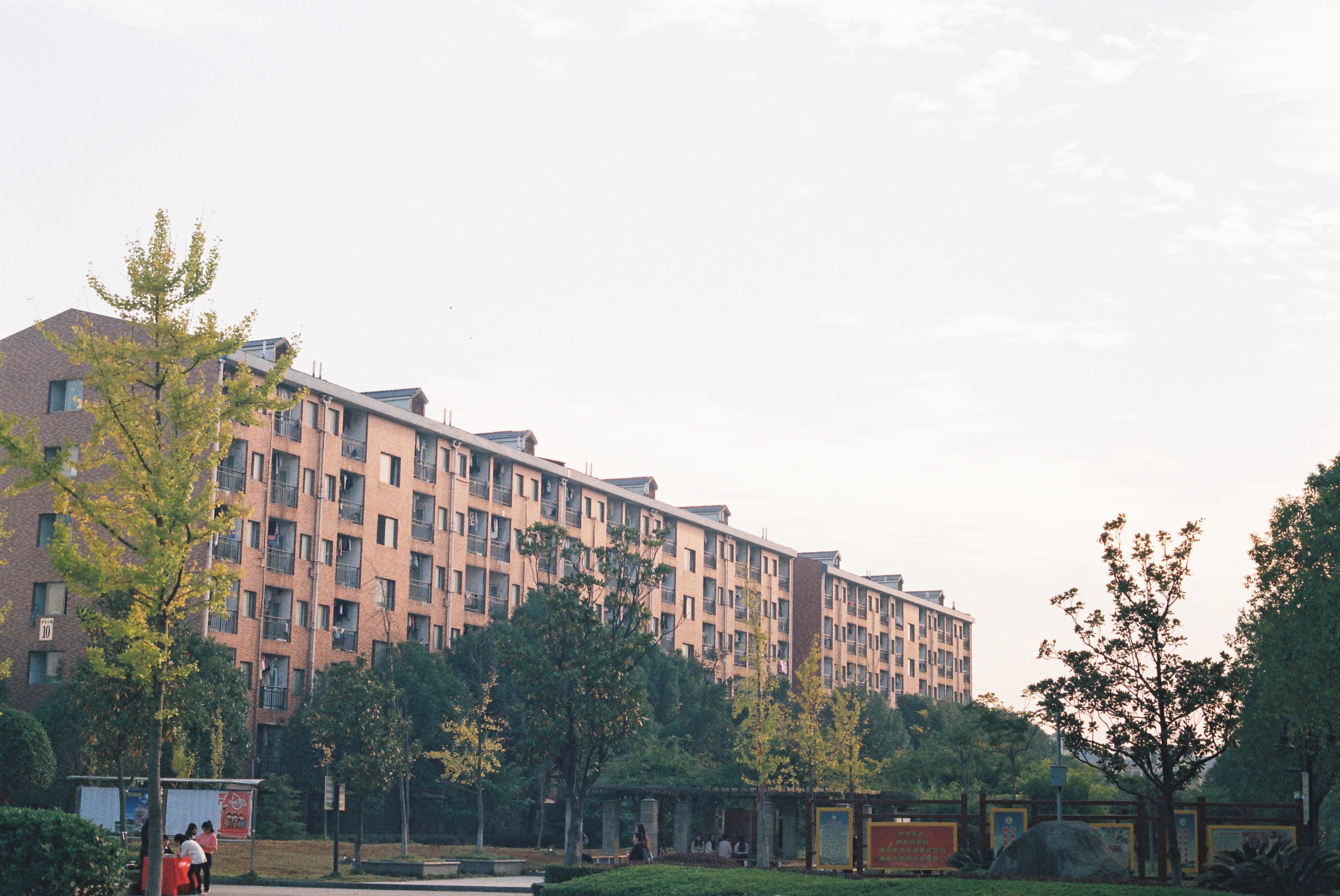 胶片拍出来不晒是什么样子的,日系胶片拍摄过程