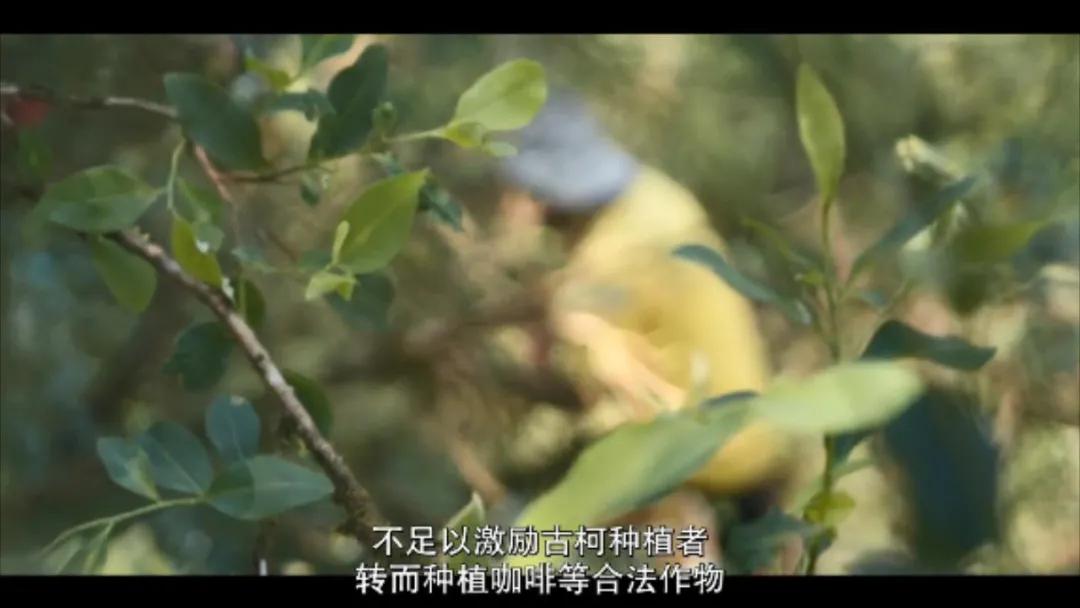 为了这部敏感剧，她差点把命丢了