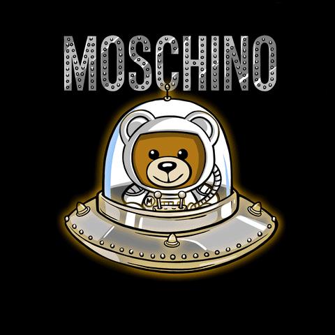 倪妮同款小猫咪,倪妮李宇春奇妙的动物