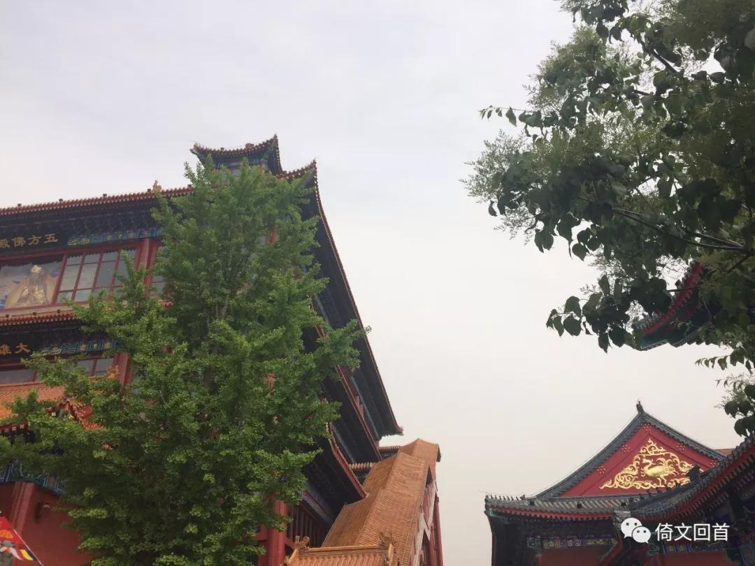 真正的天下第一城是哪里,天下第一城盛况