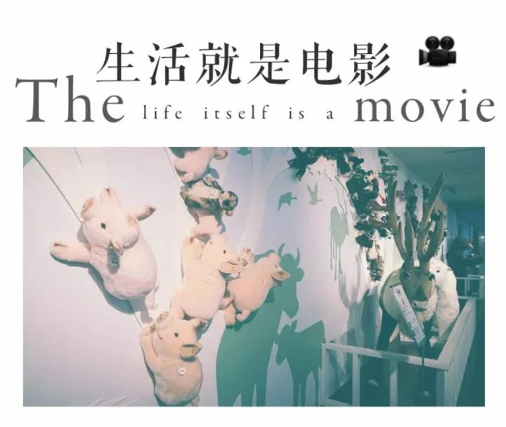 日本北海道温泉之旅,为游客准备了包机