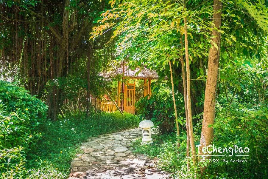 湛江一日游最佳景点湛江特呈岛,特呈岛湛江旅游攻略