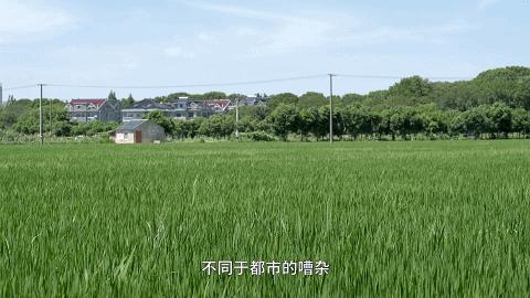 泗泾成为刚需胜地,泗泾哪里的房子最值得买