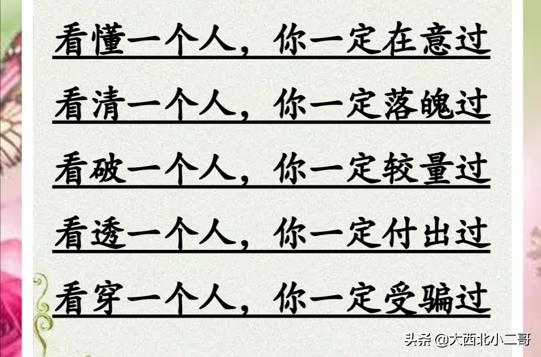 我的生活相册作文,生活相册制作