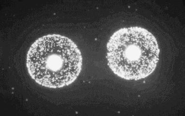 易经阴阳生克知识,易经二分法