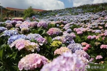 被大理的美景所折服,被丽江的风景美到了