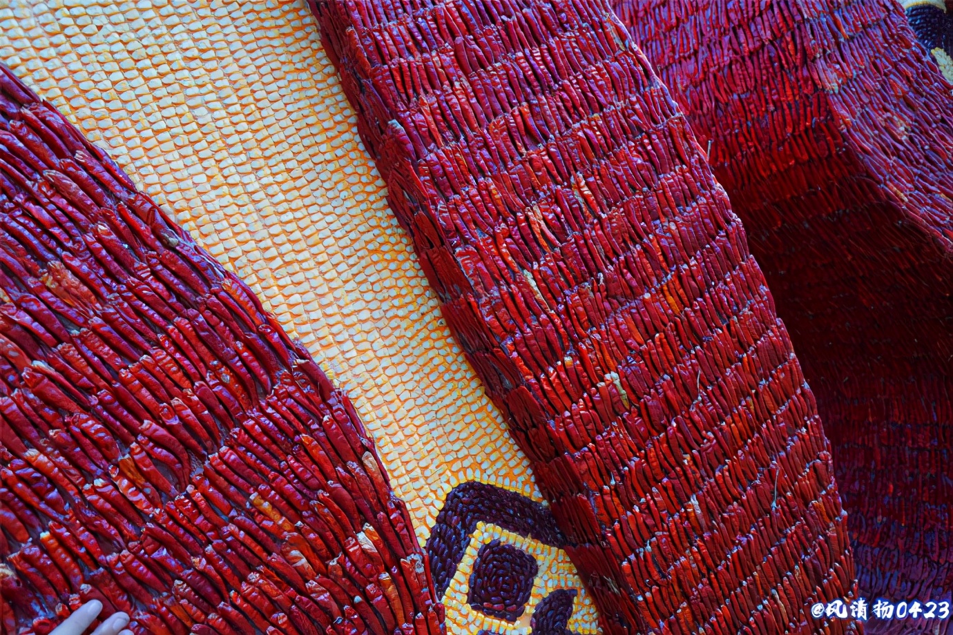 菜博会第一届,2022年菜博会天下情怀景观