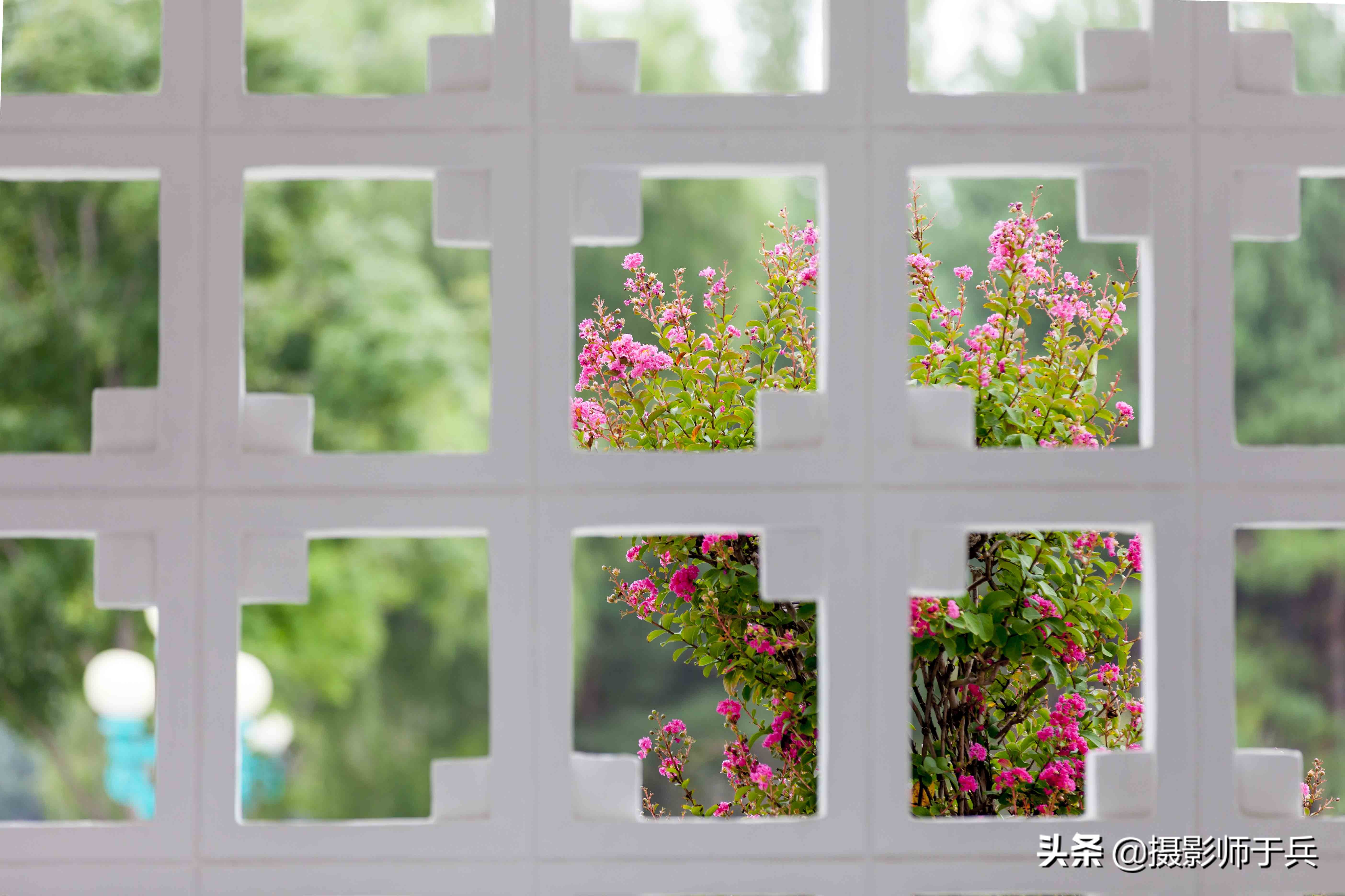 哈尔滨太阳岛美丽的秋色,哈尔滨美丽的太阳岛