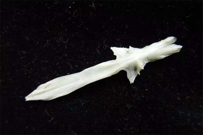 雅安这几天发生的车祸,这就是雅安原版