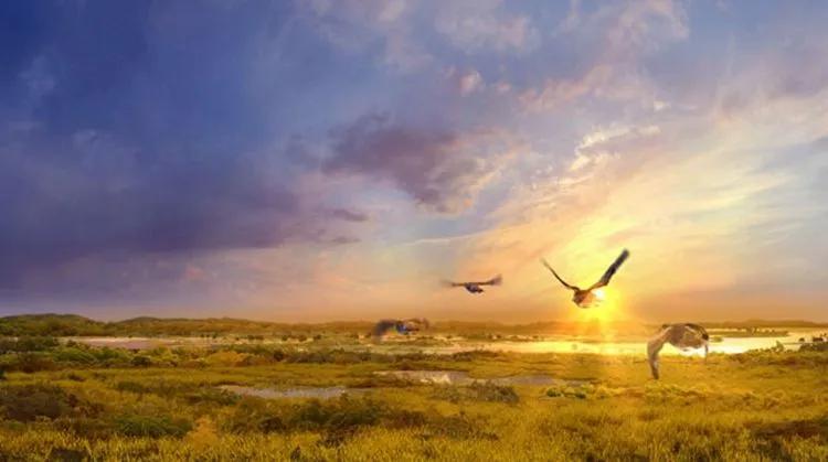 杭州湾风景,杭州湾海天一洲风景区