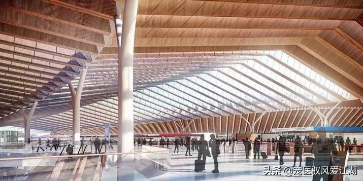 犬猫弓形虫抗体定量检测卡,猫抗体检测怎样算合格