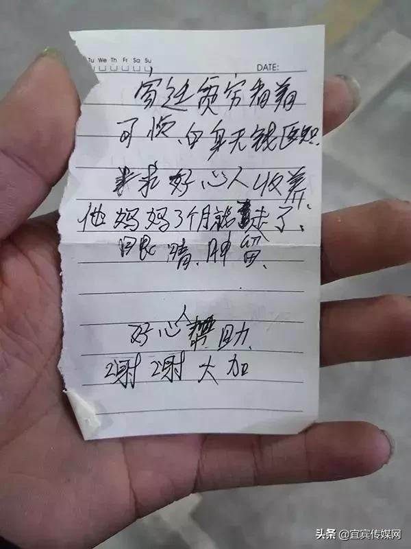 宜宾弃婴真相,狠心遗弃的婴儿