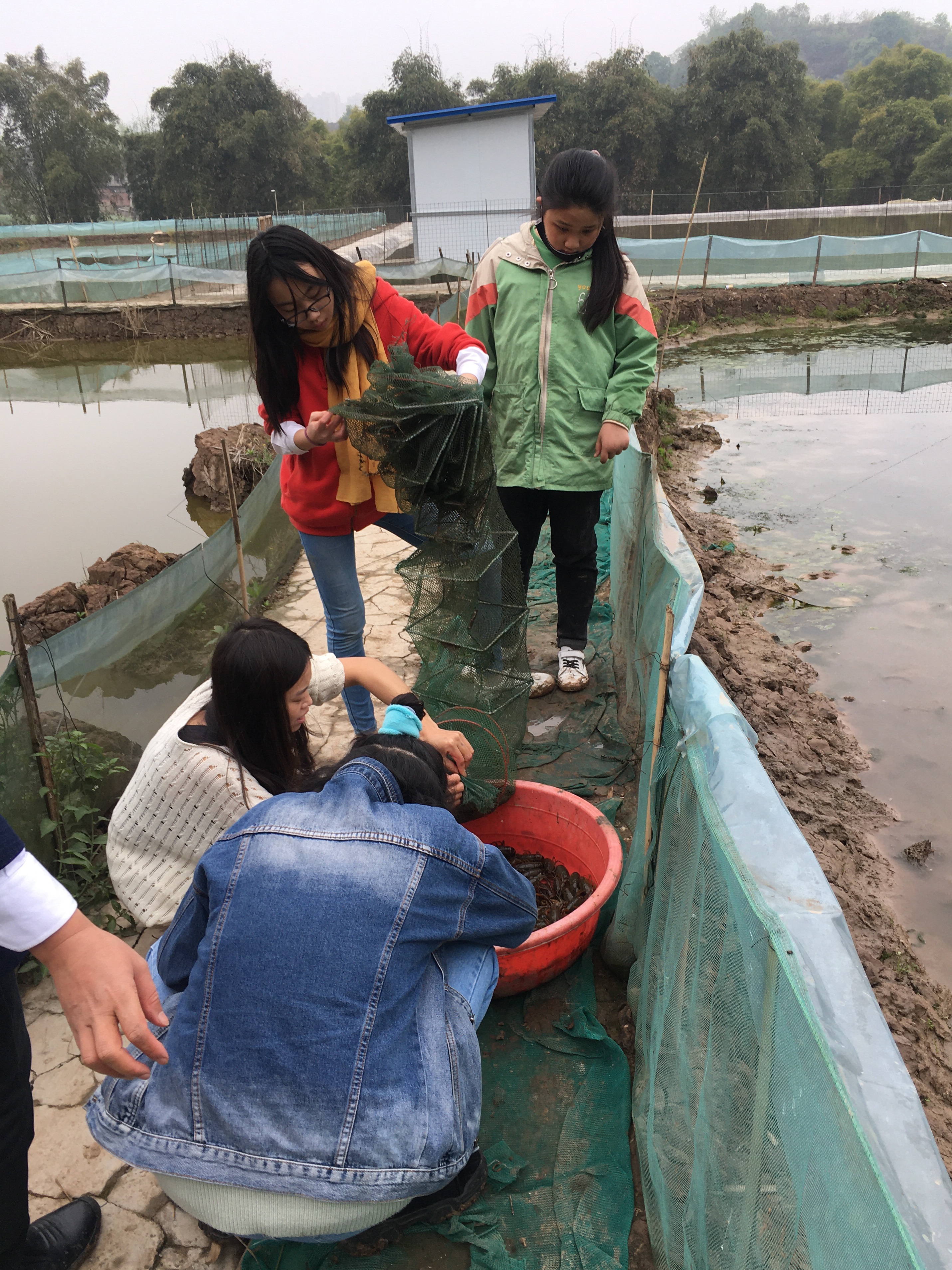 钓龙虾的季节开始了,钓龙虾起竿的时候龙虾会跑