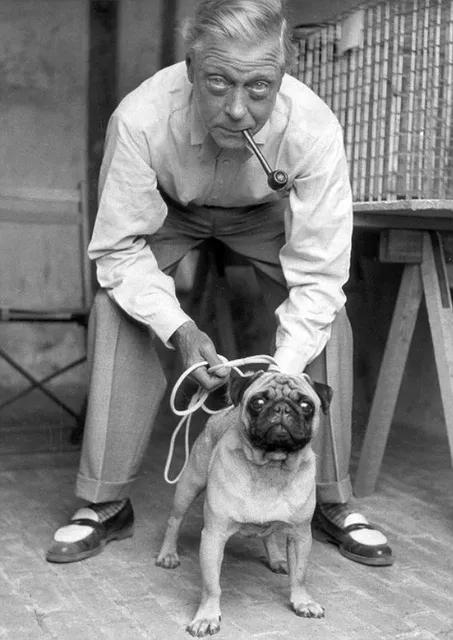 温莎公爵有多高,温莎公爵风衣