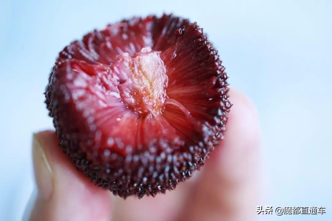 2019，在最好的时间，挑最好的地点，吃最好的食物！