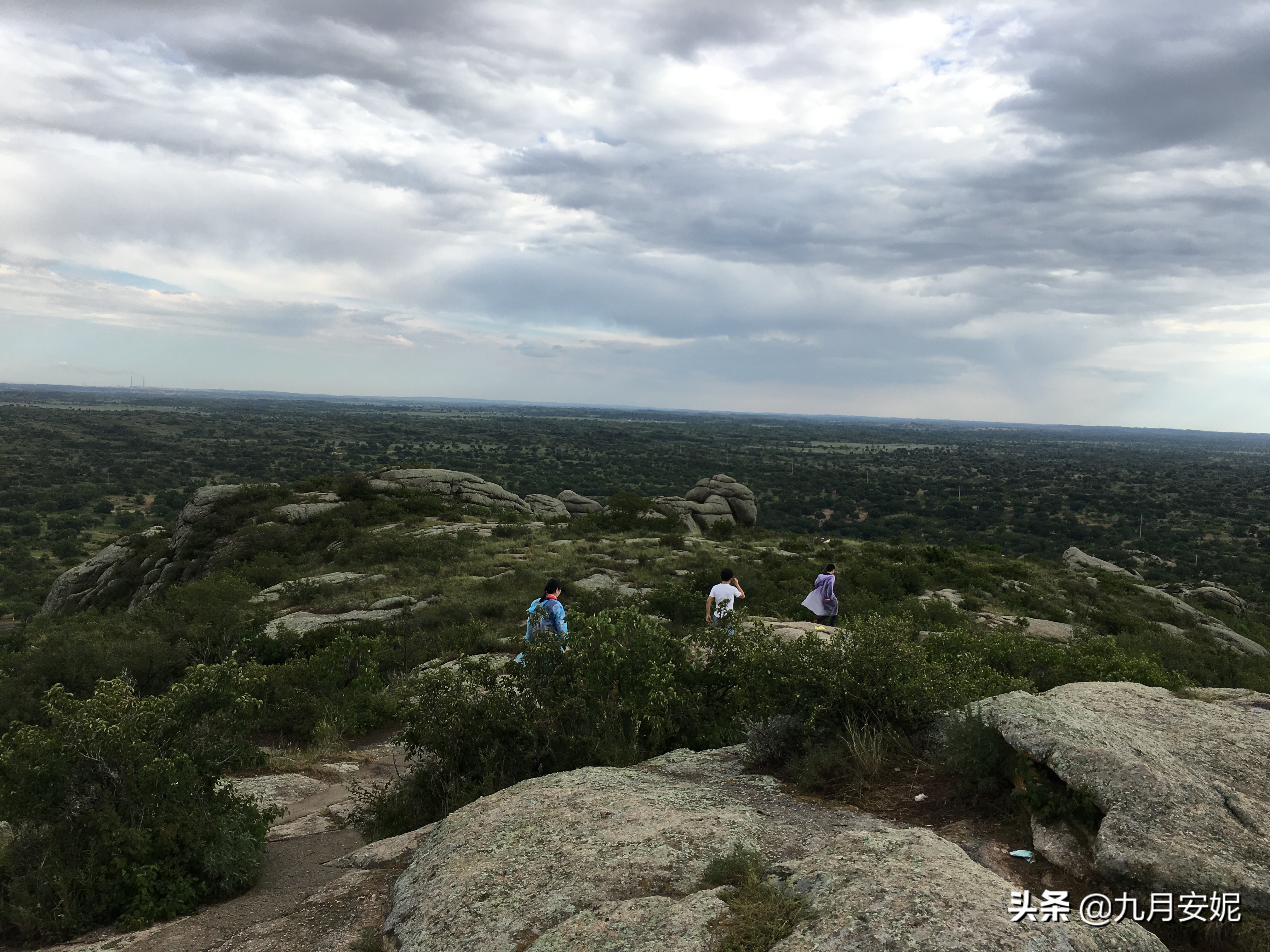 去达里湖看华子鱼洄游,达里诺尔湖华子鱼洄游在哪里