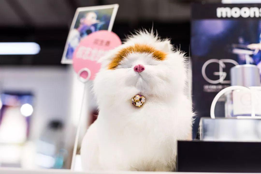 @所有猫控！万菱汇「猫咪美妆店」，任吸任摸！还有GD限量同款