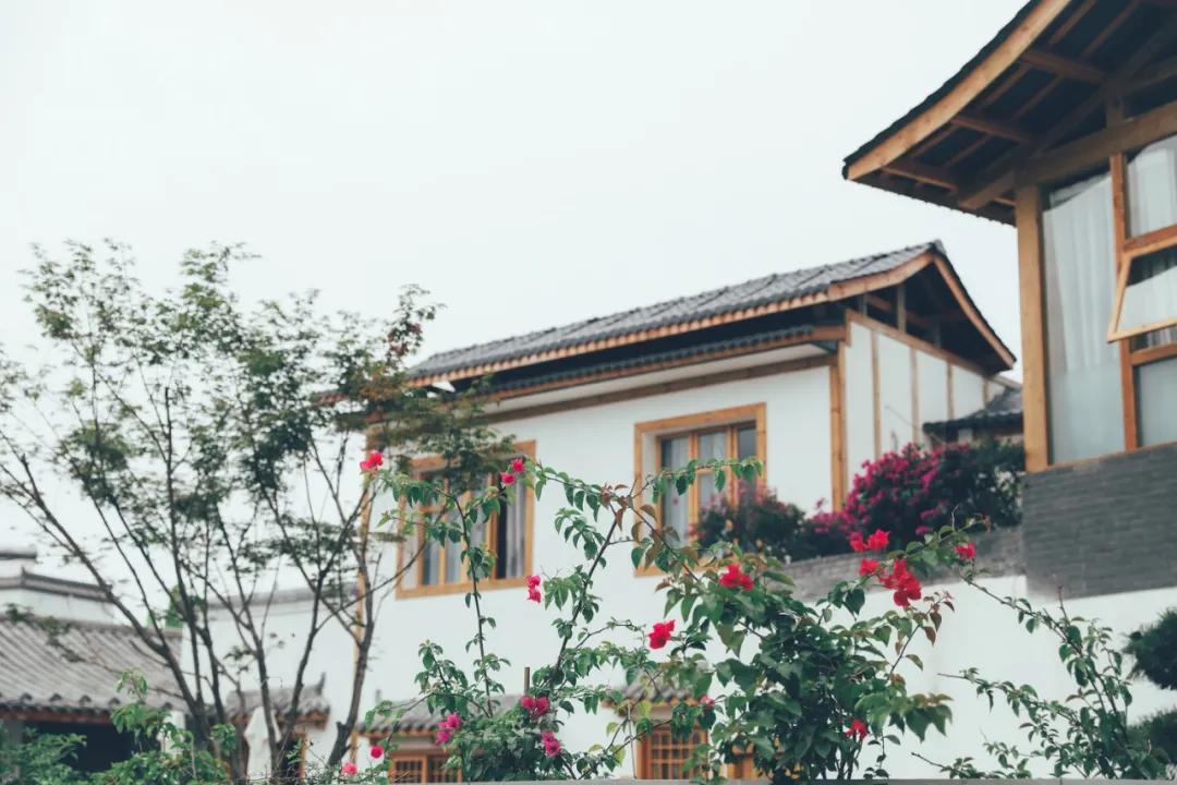 周末去哪里玩成都室内,周末去哪儿玩儿成都周围