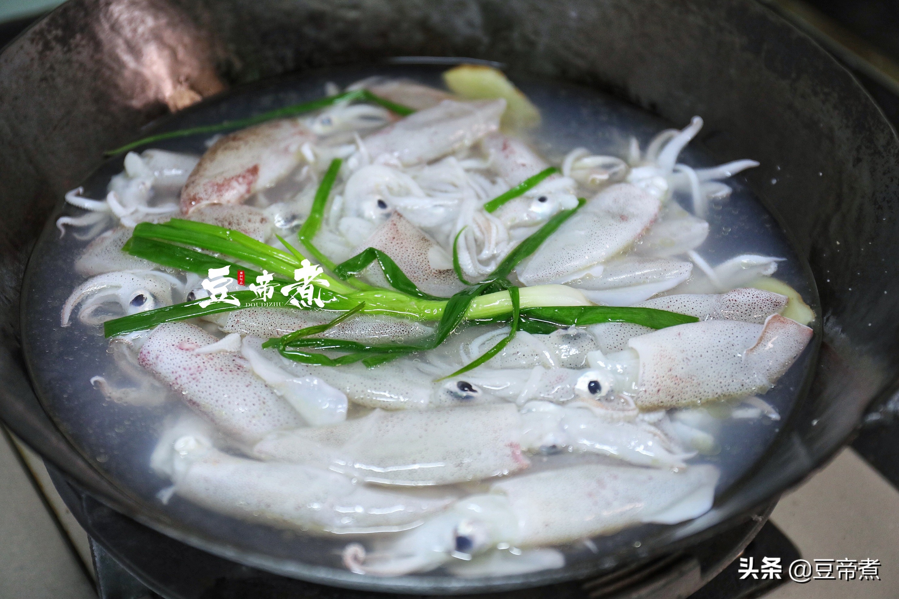 海兔子焯水吃法,海兔子最佳吃法