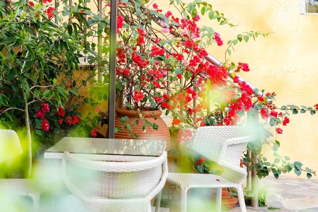 坐11号线去深圳看海,11号线碧海湾看海