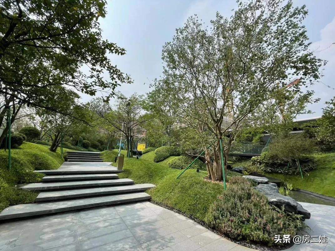 房二娃:MMP,这房子,我不卖了