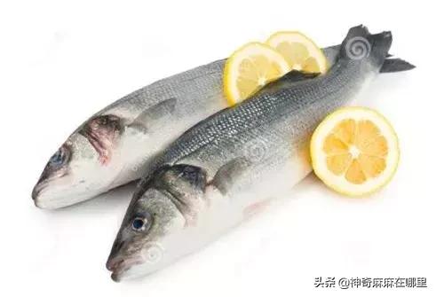 怎么选适合孩子吃的鱼,婴儿鱼泥什么牌子好